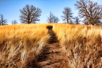Prairie Path