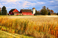 SW Minnesota Farm